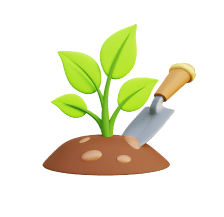 Basic Information to grow avocado tree