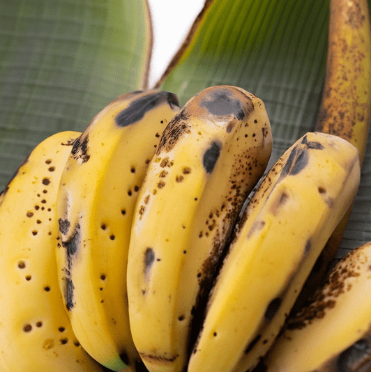 Common Diseases of Banana: Understanding the Causes of Black Spots on Banana Fruit