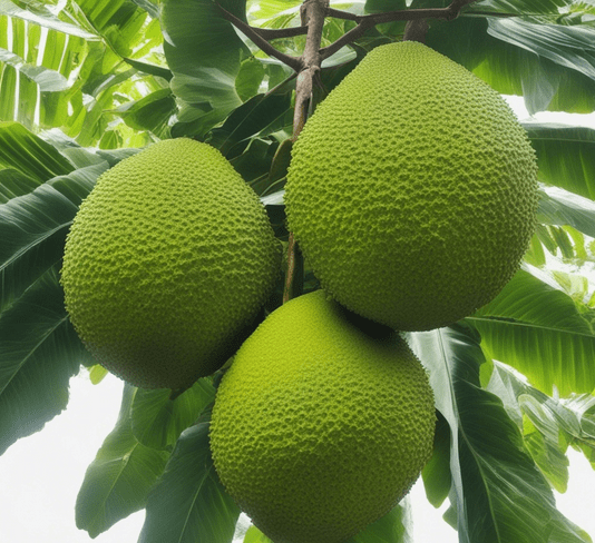 Breadfruit Seed Propagation: Discover the Art of Growing Breadfruit From Seeds