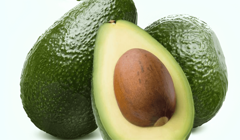 How To Plant Fuerte Avocado Trees - 9 Essential Steps