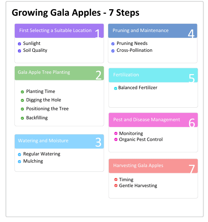 Growing Gala Apples - 7 Steps 