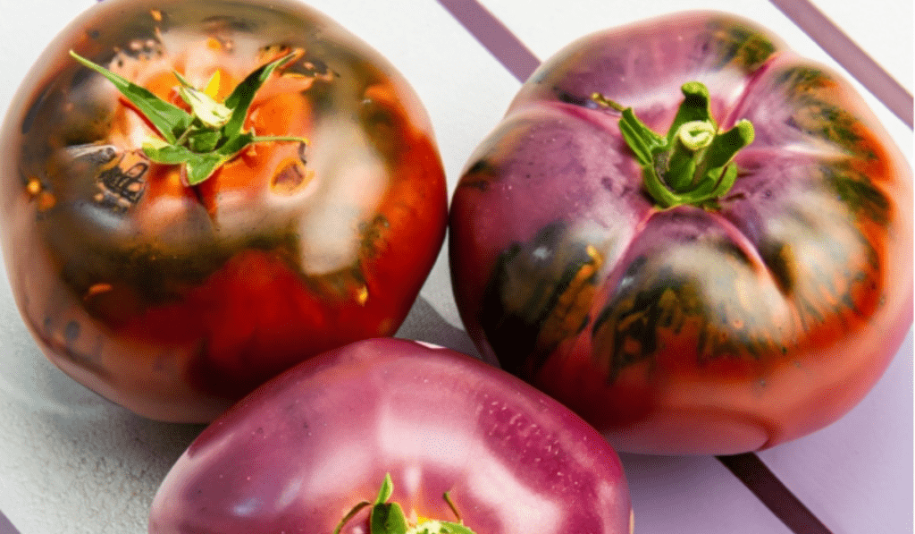 How To Plant Cherokee Purple Tomatoes - My Gardens Way