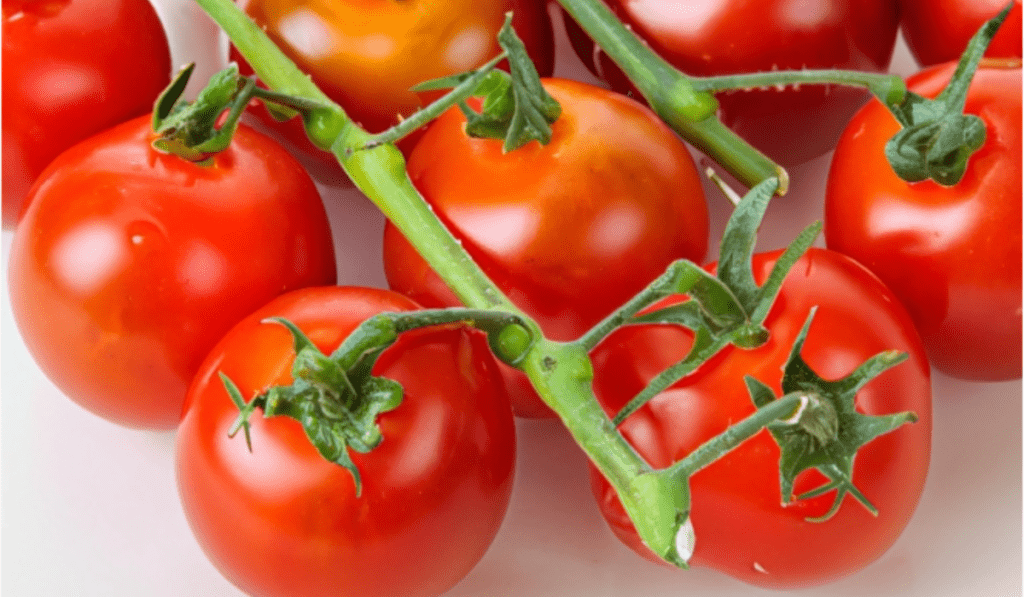 How To Plant Cherry Tomatoes - 9 Easy Steps