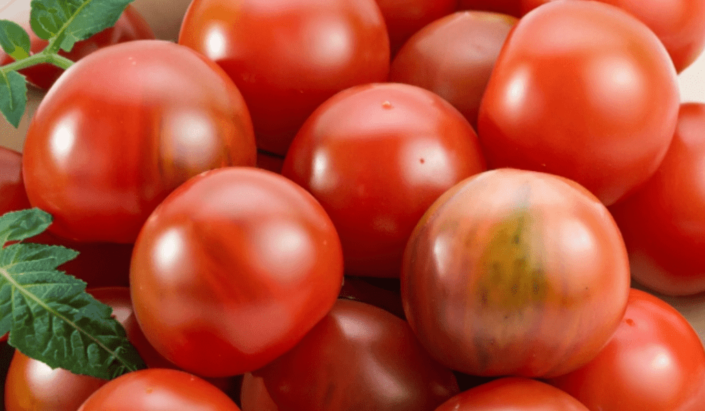 How To Plant Grape Tomatoes - Step-by-Step Planting Guide