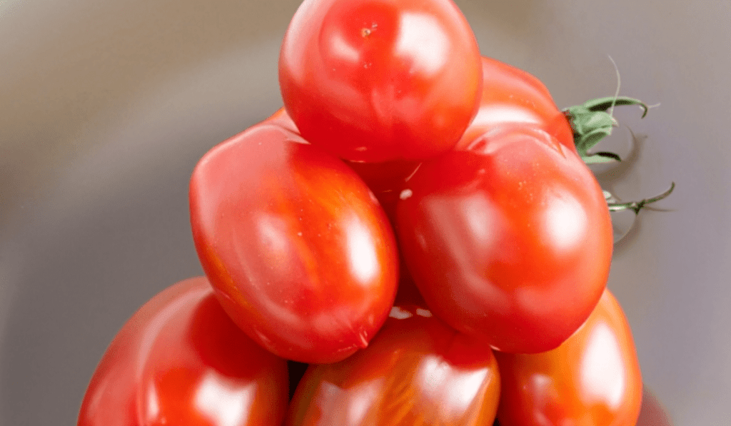 How To Plant Plum Tomatoes - 9 Step Guide