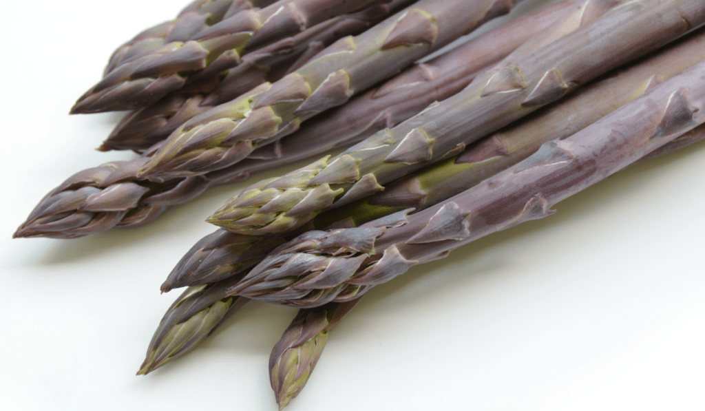 How to Plant Purple Passion Asparagus
