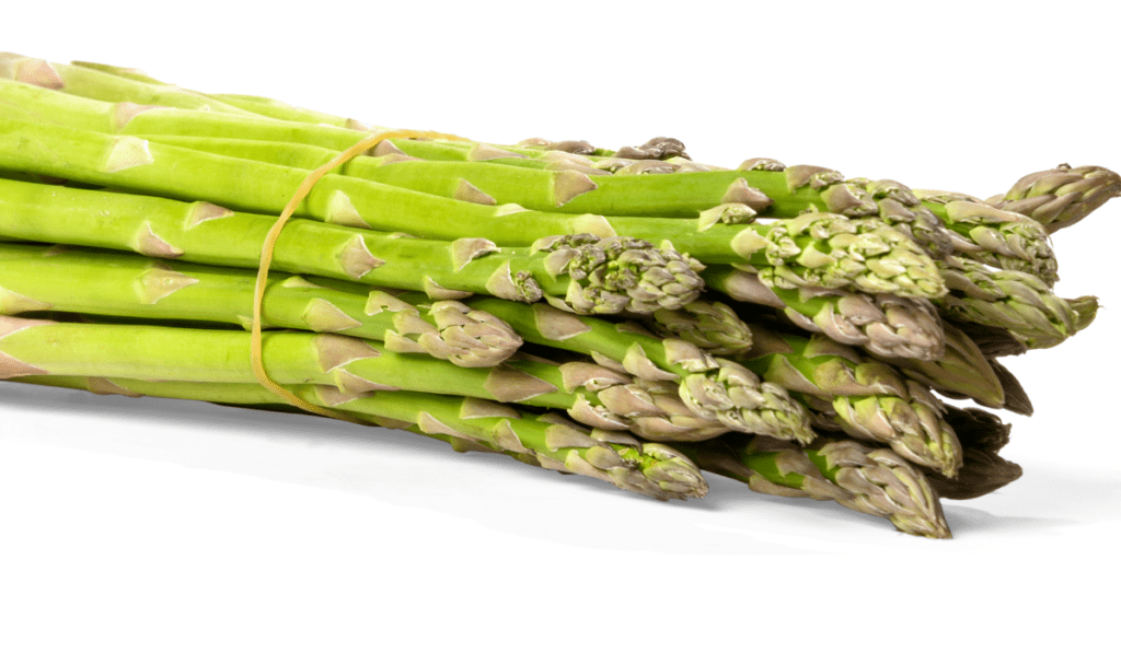 How to Plant UC 157 F1 Asparagus: Plant the Perfect Crop