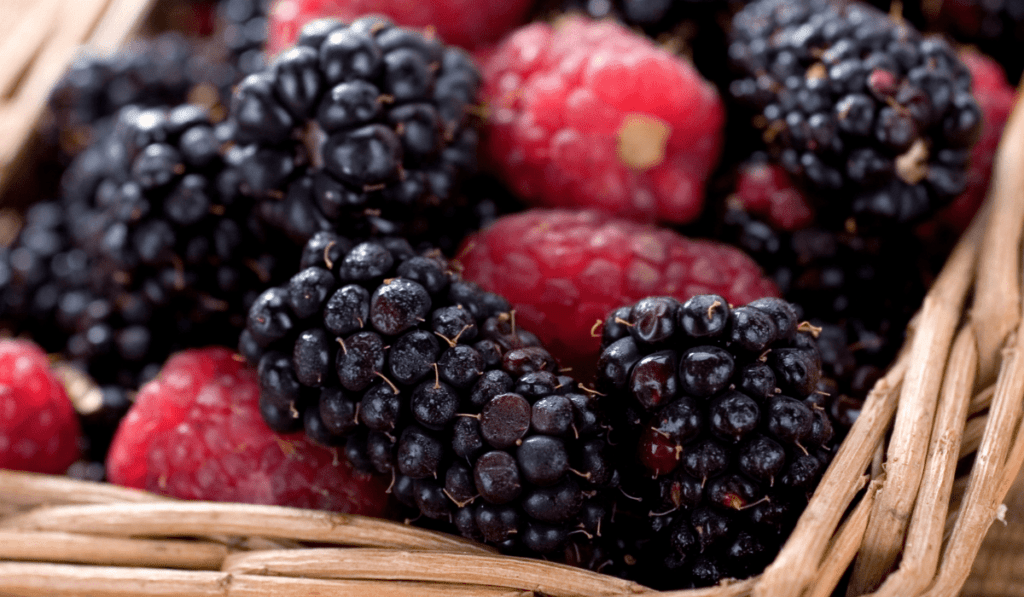 9 Best Varieties of Boysenberries - My Gardens Way