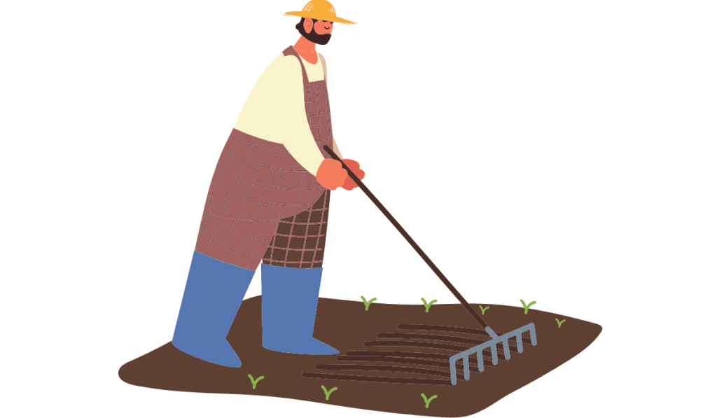 Preparing Soil for Cassabanana Planting - A Comprehensive Guide