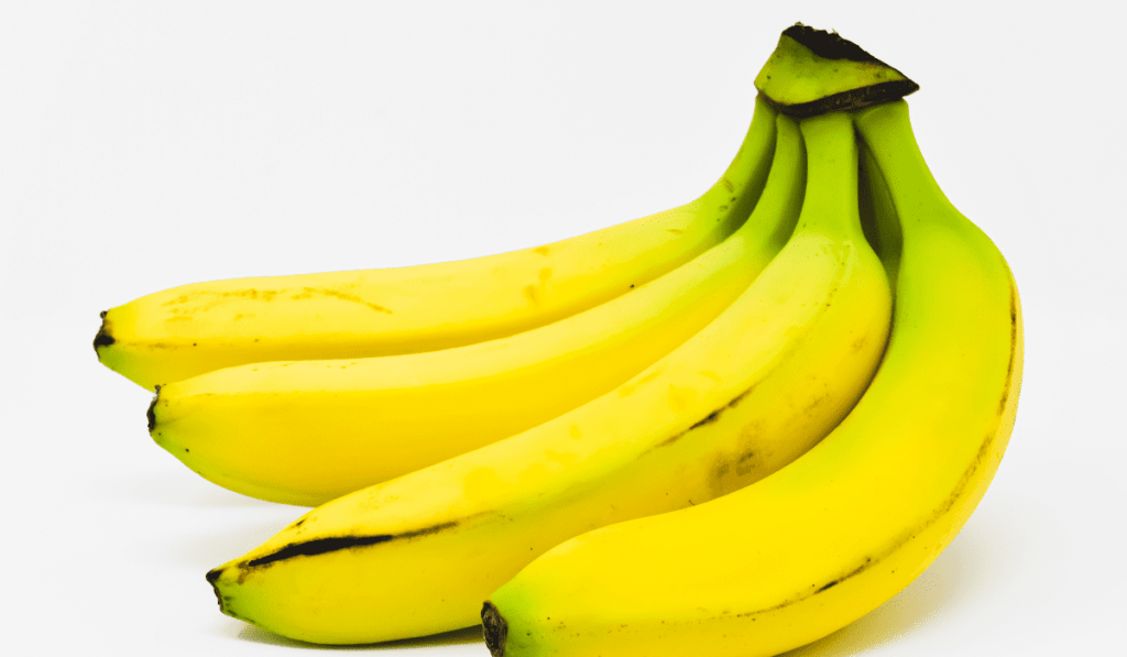 9 Best Varieties of Banana Tree - Best Banana Variety to Grow