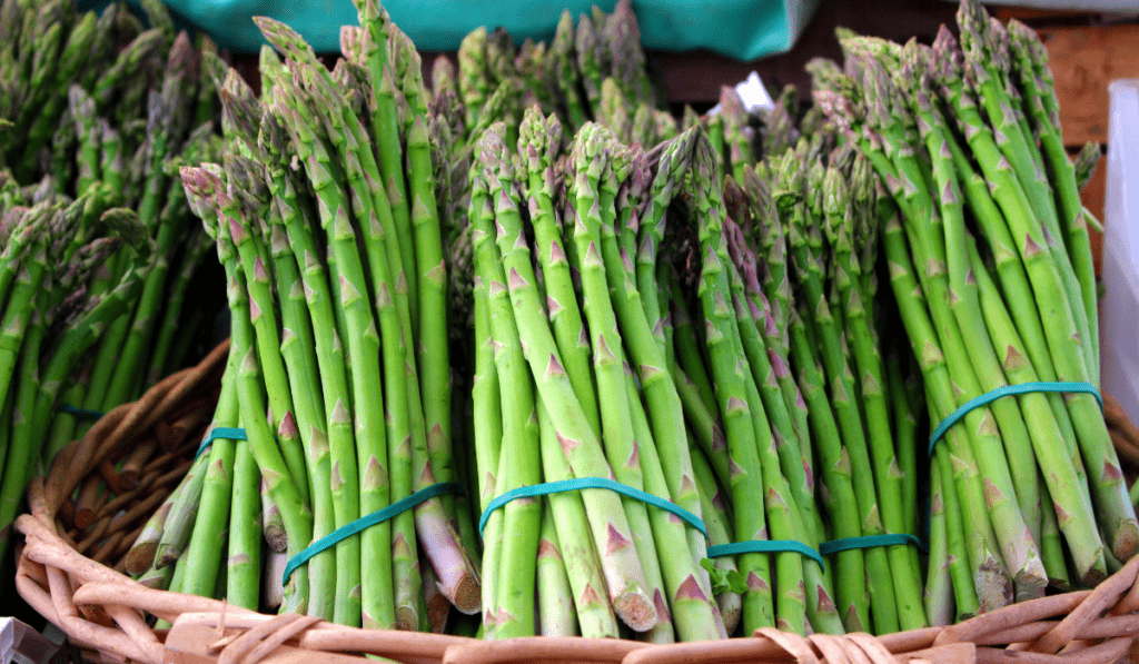 How To Care for Asparagus: Complete Guideline