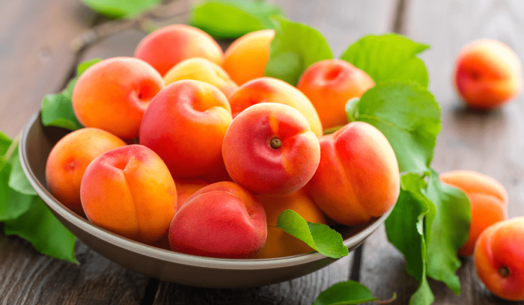 How To Harvest and Store Apricots - Tips for Fresh and Delicious Fruit