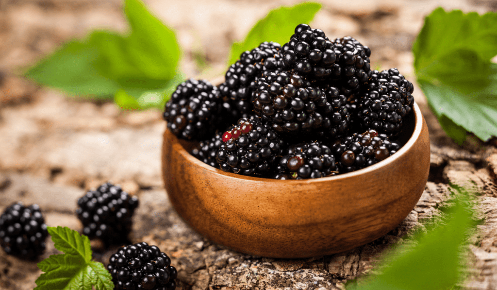 10 Best Varieties of Blackberries for Your Garden - My Gardens Way