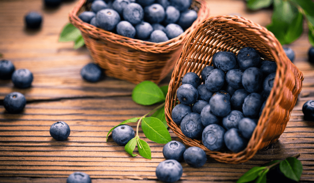 Your Guide to the Top 9 Blueberry Varieties