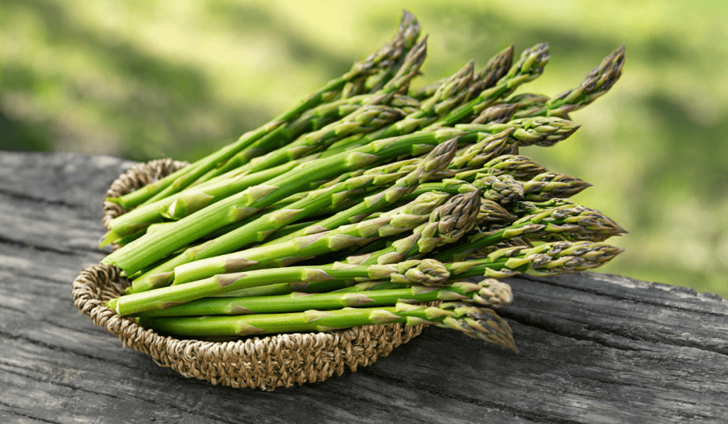 How To Plant Asparagus - A Complete Guideline
