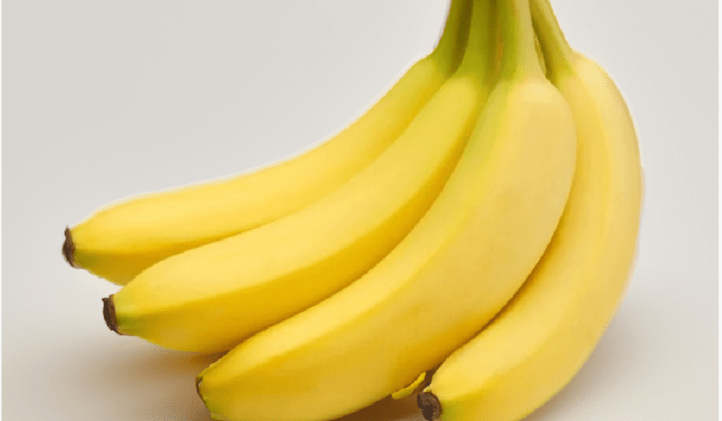 How To Plant Cavendish Banana- 9 Easy Steps
