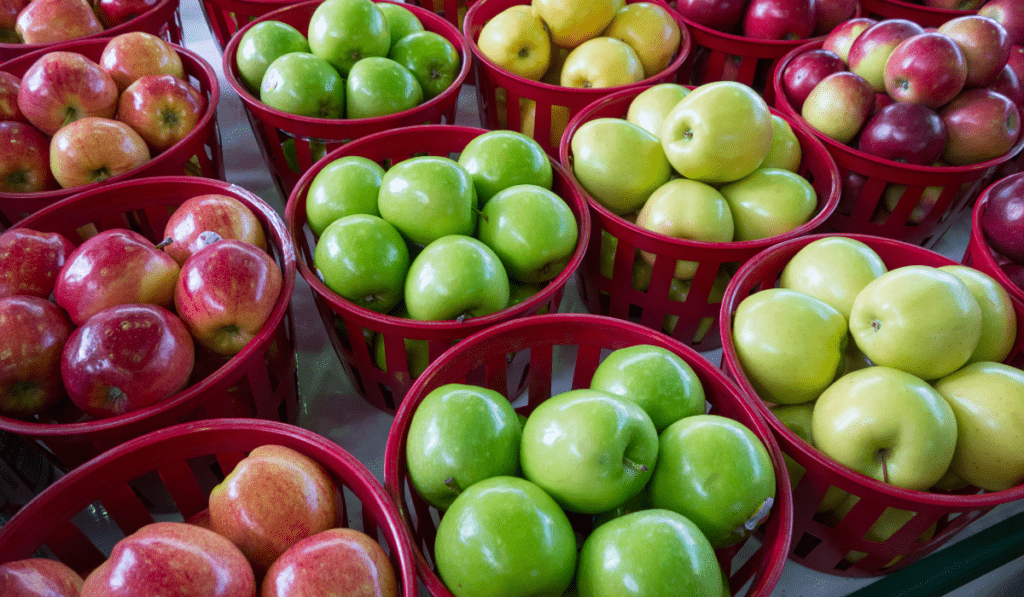 The Best Apple Fruit Varieties You Haven't Tried Yet!