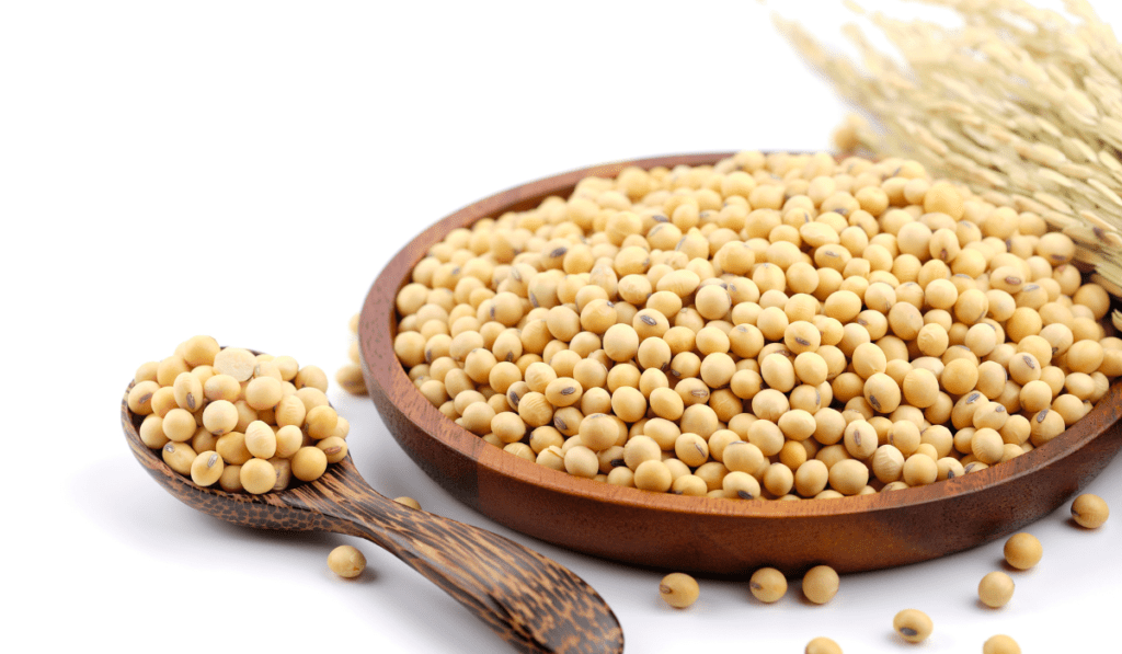 The Ultimate Guide to Soybeans: Cultivation, Uses, and Global Trade
